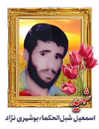 اسمعیل شبل الحکماء